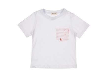 Meia Patta Boys Flamingo Trunks and T-Shirt - The Little Darlings
