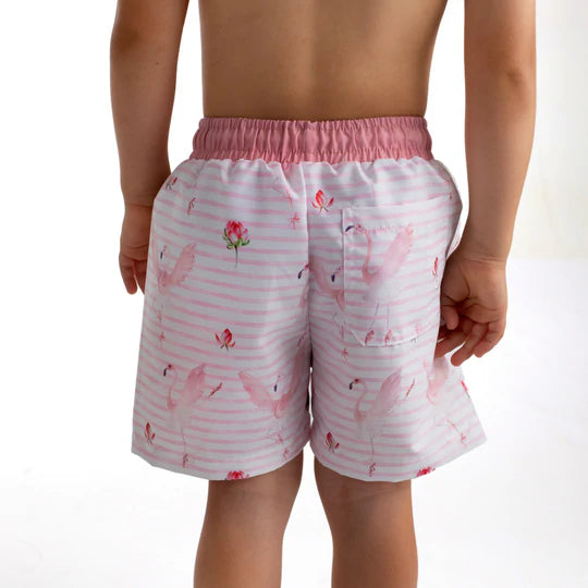 Meia Patta Boys Flamingo Trunks and T-Shirt - The Little Darlings